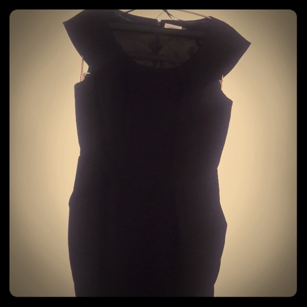 A Calvin Klein sheath  dress